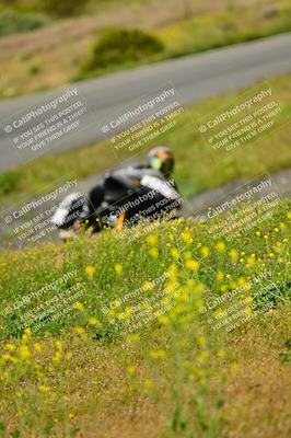 media/Apr-13-2024-Classic Track Day (Sat) [[9dd147332a]]/Group 1/Session 3 (Turns 5 and 6)/